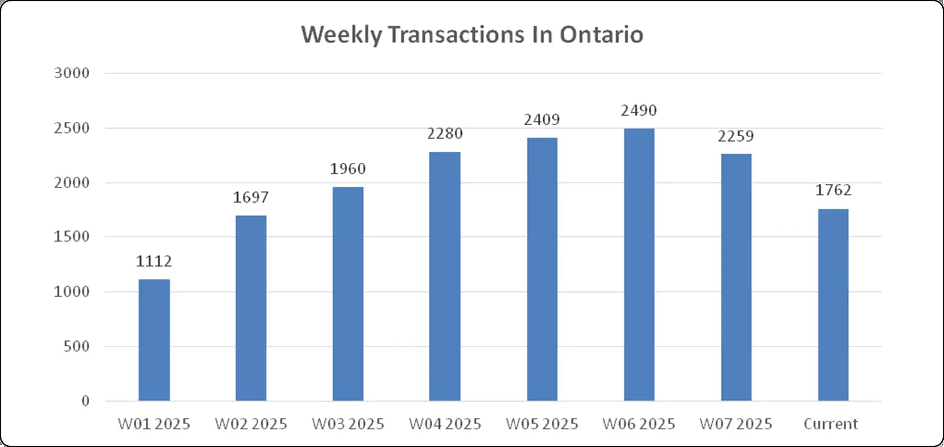 A Rapid Price Surge and Sales Volatility